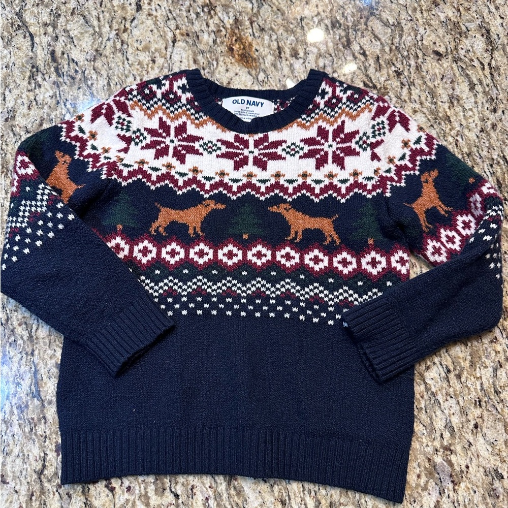 Old Navy Winter Boys Toddler Sweater (Rare)